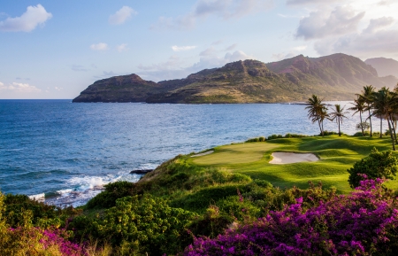 关于自由的思考